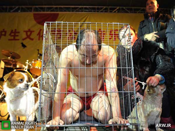 کمپین یک هنرمند ۴۰ ساله چینی جهت نخوردن گوشت سگ و دوست داشتن حیوانات/ تصویر 
