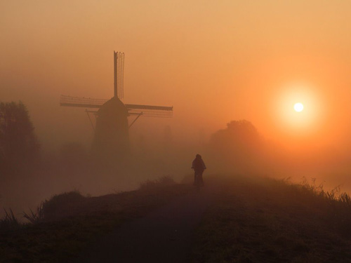 این عکس در هلند گرفته شده است در شهر کوچکی به نام بوسکوپ. صبحی در ماه سپتامبر که به دلیل بروز مه، زیبا و رویایی شده است. کودکی سوار بر دوچرخه اش به مدرسه می رود و نمی داند نور، چه منظره ی فوق العاده ای درست پشت سر او ایجاد کرده است. 