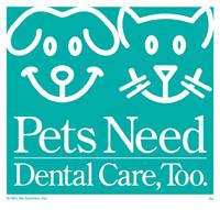 فوریه  ماه توجه به بهداشت دندان حیوانات خانگی