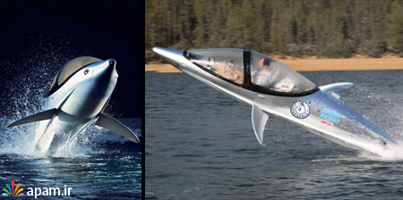سازه های خلاقانه,Dolphin Inspired Personal Submarines,apam.ir