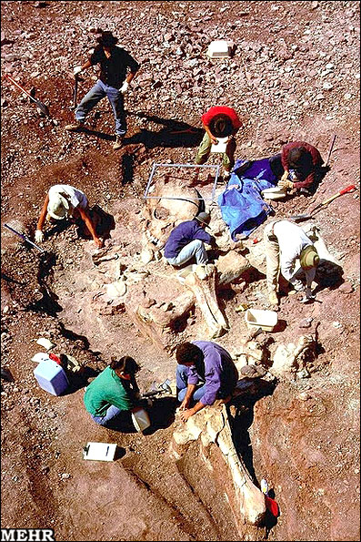 راز کشف استخوان انسان های غول پیکر در مصر مشخص شد! + عکس  
