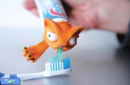 ایده های خلاقانه,Animal Toothpaste Heads,apam.ir