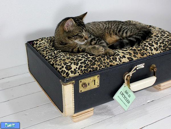 ایده های برای ساخت محل خواب گربه