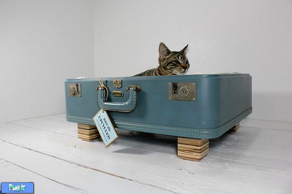 ایده های برای ساخت محل خواب گربه
