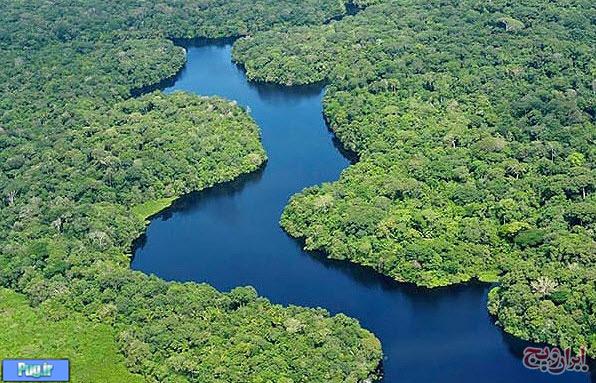آمازون در برزیل