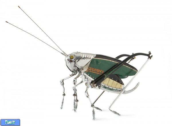 Grasshopper 600x440 Metal Animals Sculptures by Edouard Martinet