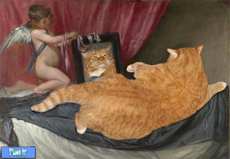 Cats Improve Paintings