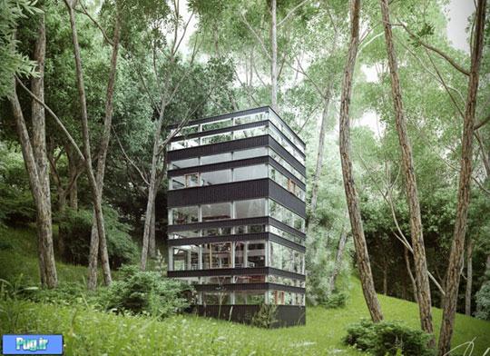 خانه ی ژاپنی در دل جنگل