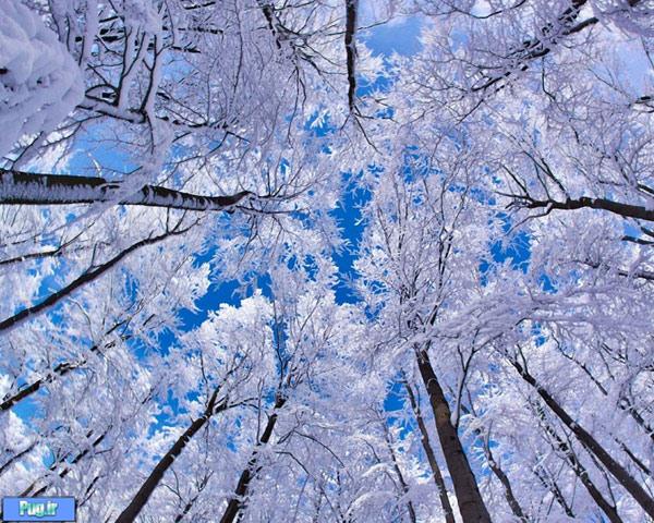 عکس های زیبا از زمستان
