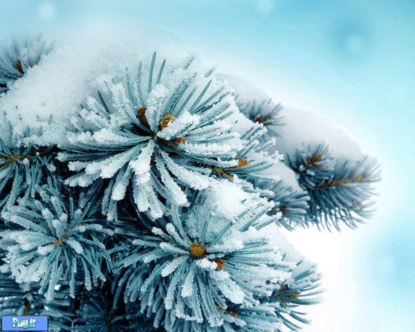 عکس های زیبا از زمستان