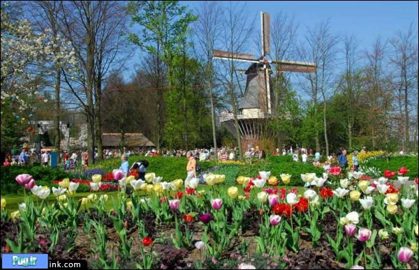 بهار در هلند