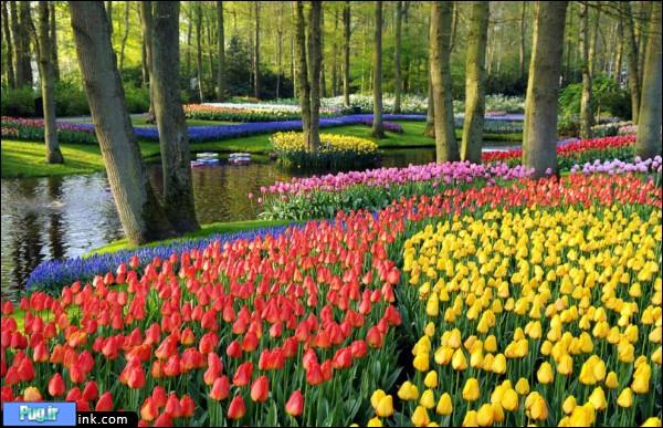 بهار در هلند