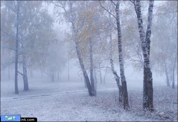 تصاویری زیبا از طبیعت سیبری(سیبریه)