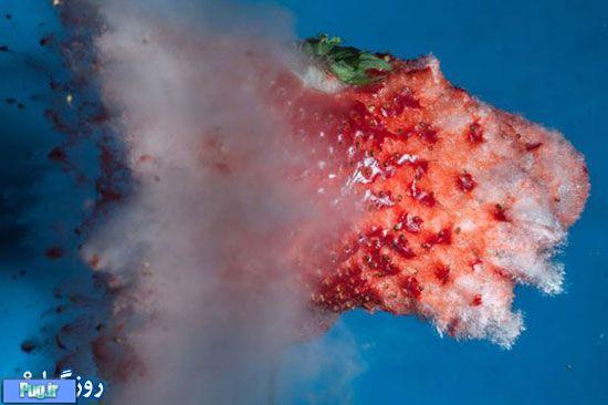 تصاویری جذاب از لحظه انفجار میوه ها