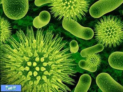 باورتان نمی‎شود چه تعداد باکتری‌ در بدن شما وجود دارد!