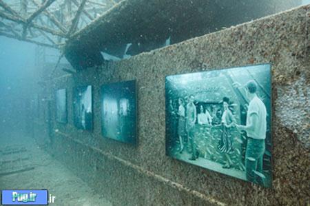 گالری هنری در زیر دریا