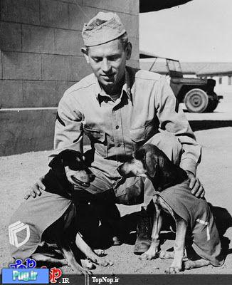عکس هایی از سگ ها در طول جنگ 