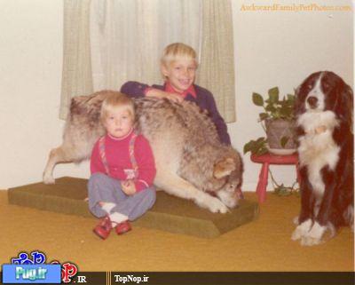 عکس هایی خانوادگی با حیوانات