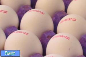 تعیین قیمت تخم‌مرغ