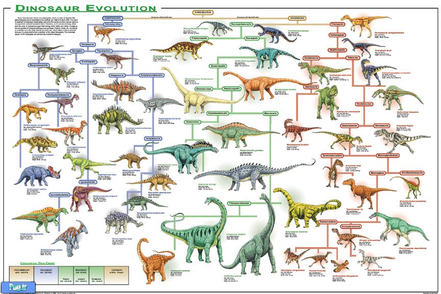  طبقه بندی دایناسورها