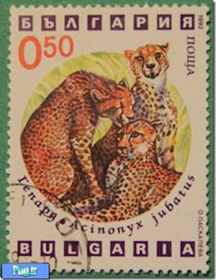 تمبرهای یادبود یوزپلنگ 