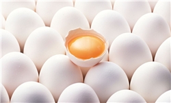  افزایش 2هزار تومانی قیمت تخم‌مرغ