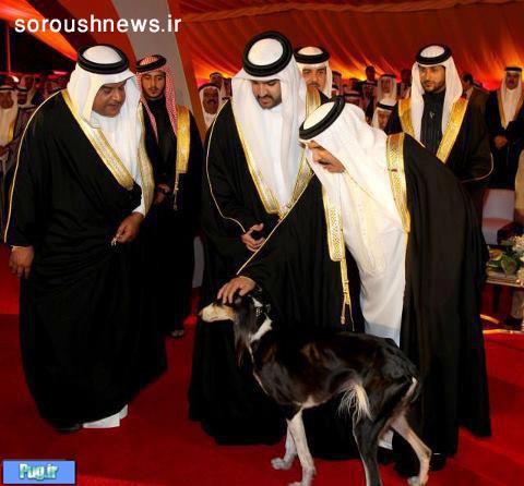 علاقه پادشاه بحرین به سگ ها 