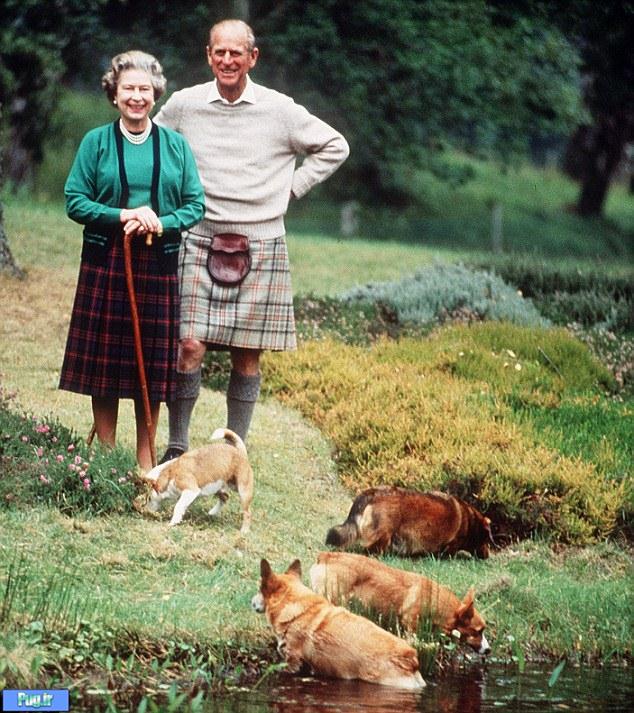 علاقه ملکه انگلیس به سگ ها 