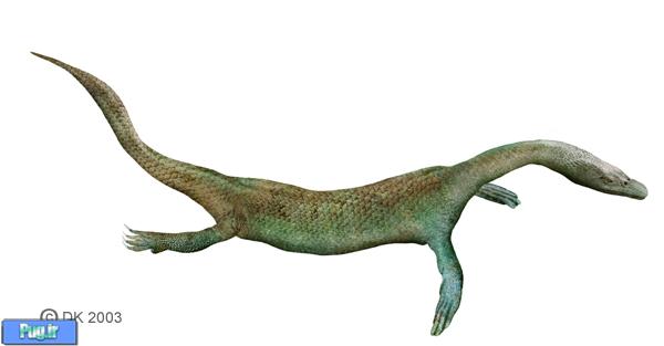   درباره ی Ceresiosaurus (ترجمه)