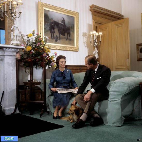 اطلاعات بیشتر درباره مرگ سگ ملکه بریتانیا