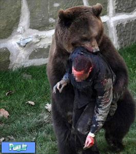 حمله یک خرس به مردی در باغ وحش