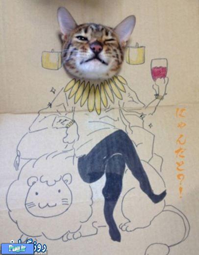 هنری ازار دهنده با گربه 