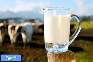 نوشیدن شیر در فصل سرما
