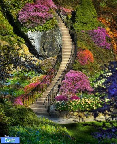 تصاویر زیبا ترین باغ دنیا !!