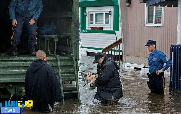  کمک رسانی به حیوانات در توفان سندی