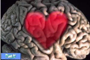 عکس: اسکن مغز یک عاشق؛ همه تغییرات مغز در هنگام عاشق شدن!