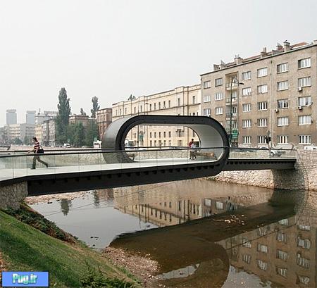 این پل زیبا را ببینید 