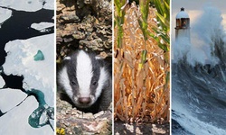 مهمترین رویدادها زیست‌محیطی   ۲۰۱۲