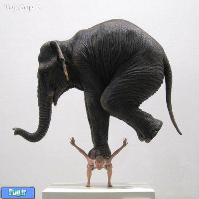 نهایت دقت در ساخت یک فیل !