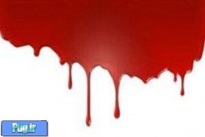 پلیس پایتخت خبر داد: قتل یک زوج در بلوار همیلا