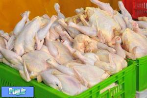پیشنهاد مرغ ۵۵۰۰ تومانی به دولت رفت