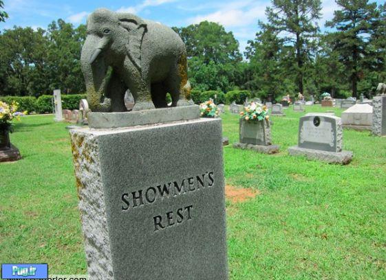 قبرستاني براي حيوانات سيرک 