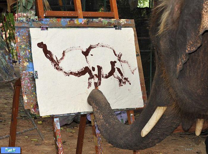 این بچه فیل هنرمند 
