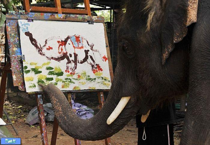 این بچه فیل هنرمند 