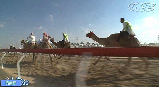 شتر عامل جذب توریست در دبی 