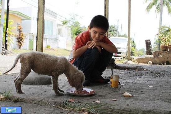 پسر 9 ساله ناجی حیوانات بی‌خانمان 