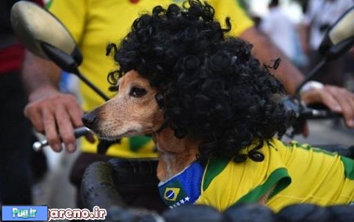 تماشاگران متفاوت جام جهانی 
