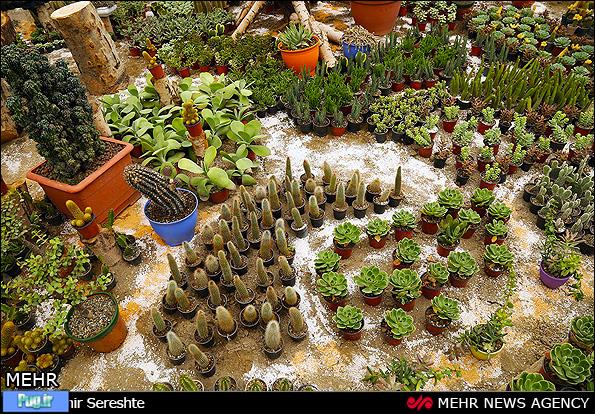  نمایشگاه گل و گیاه کرج