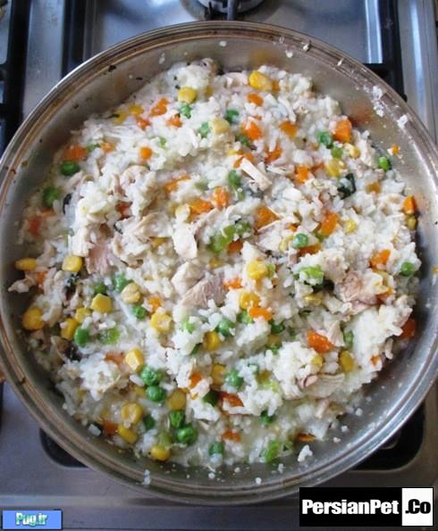 طرز تهیه برنج مکزیکی برای سگ ها