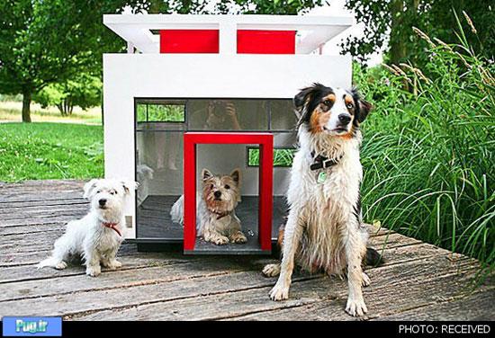 خانه‌های مجلل برای حیوانات خانگی 